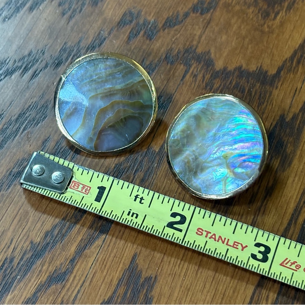 Abalone Shell Flat Button Earrings - image 2